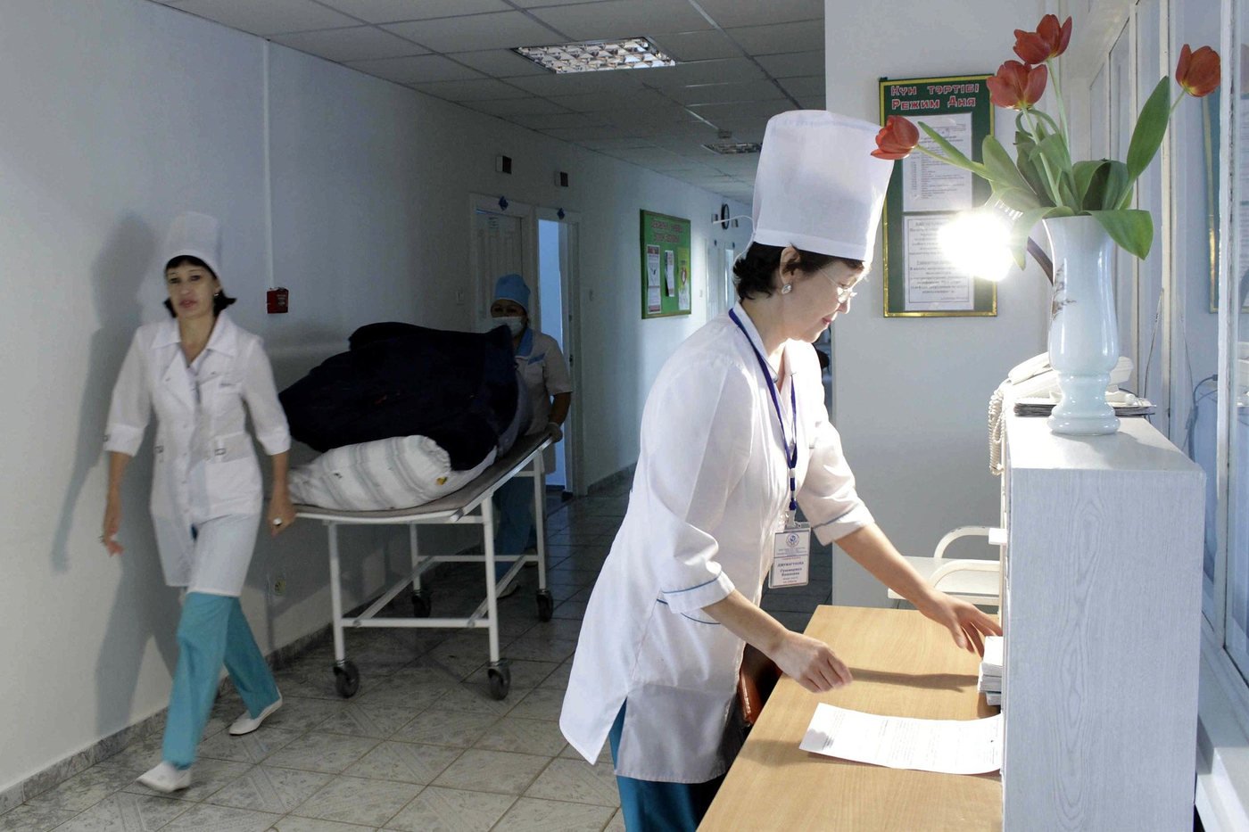 Консультация и восстановление